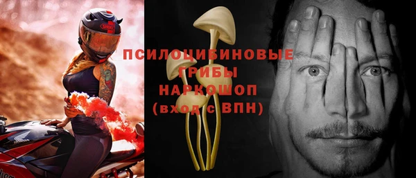 spice Бородино