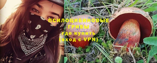 spice Бородино